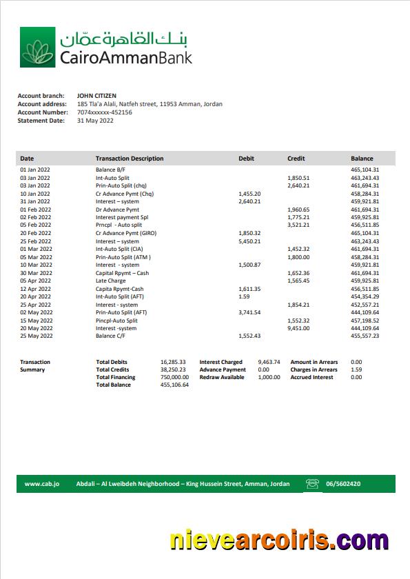Jordan Cairo Amman Bank statement in Word and PDF format